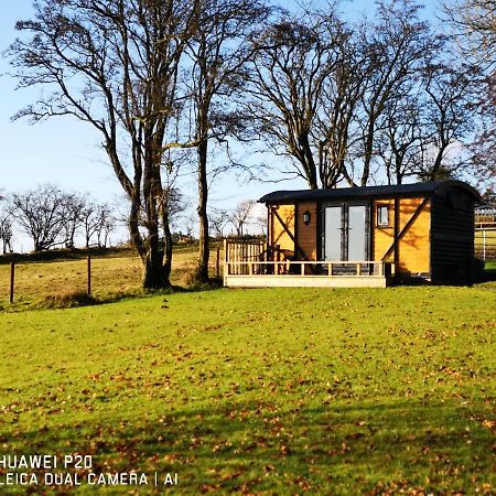فيلا Pen-Rhos Luxury Glamping "Cuckoo'S Nest" لاندريندود ويلز المظهر الخارجي الصورة