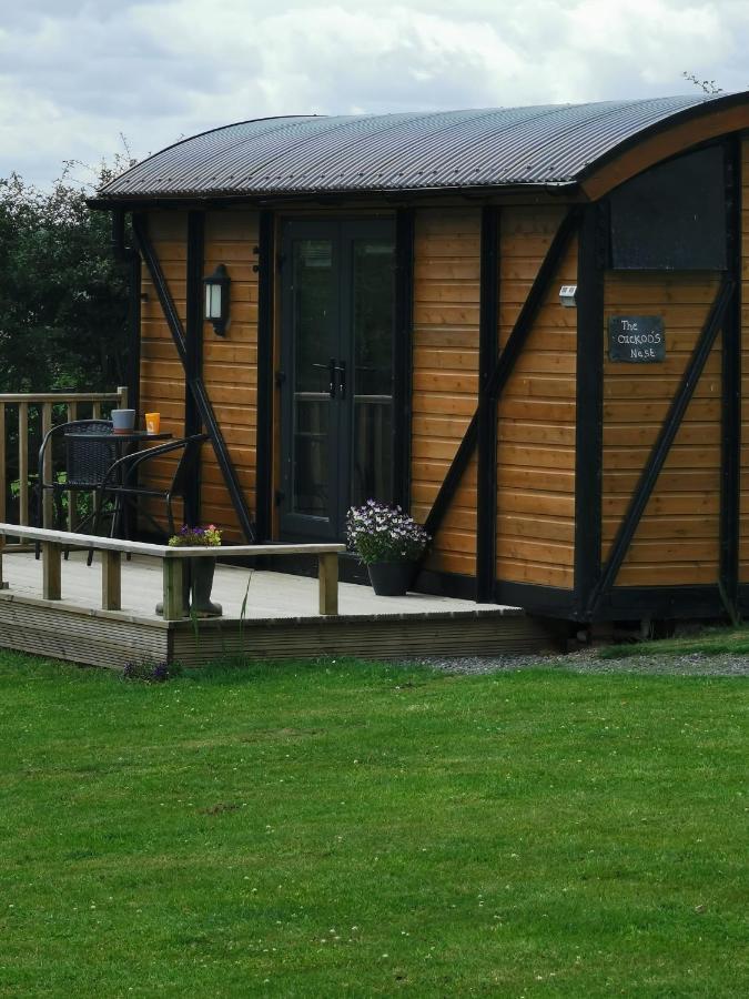 فيلا Pen-Rhos Luxury Glamping "Cuckoo'S Nest" لاندريندود ويلز المظهر الخارجي الصورة