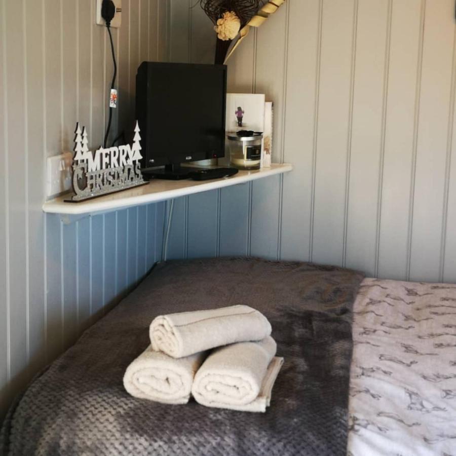 فيلا Pen-Rhos Luxury Glamping "Cuckoo'S Nest" لاندريندود ويلز المظهر الخارجي الصورة